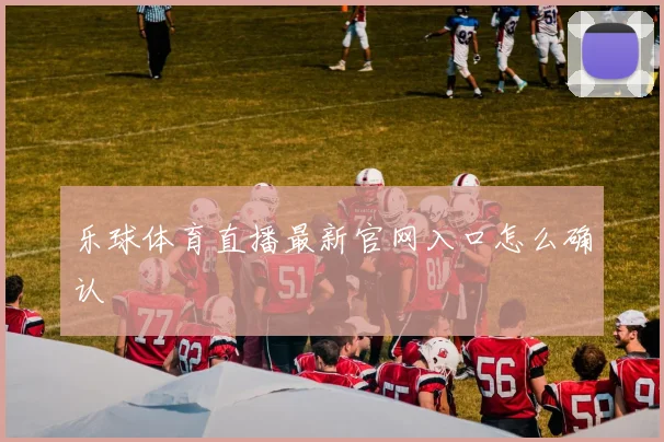 乐球体育直播最新官网入口怎么确认