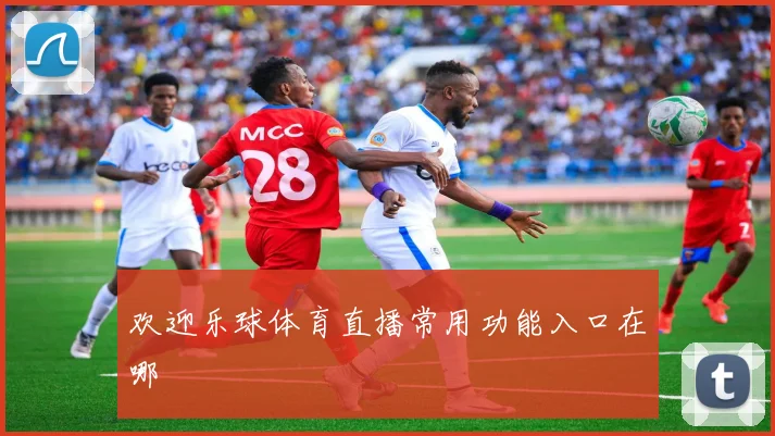 欢迎乐球体育直播常用功能入口在哪