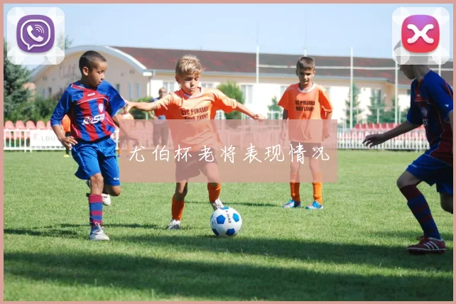 尤伯杯老将表现情况