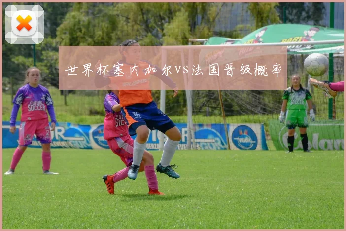 世界杯塞内加尔vs法国晋级概率