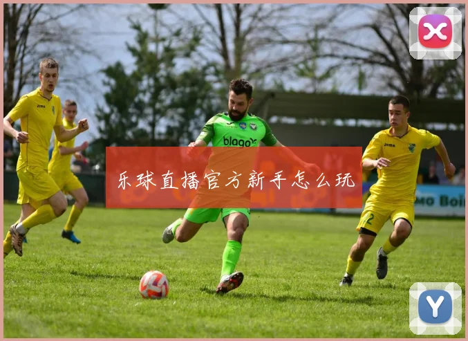 乐球直播官方新手怎么玩